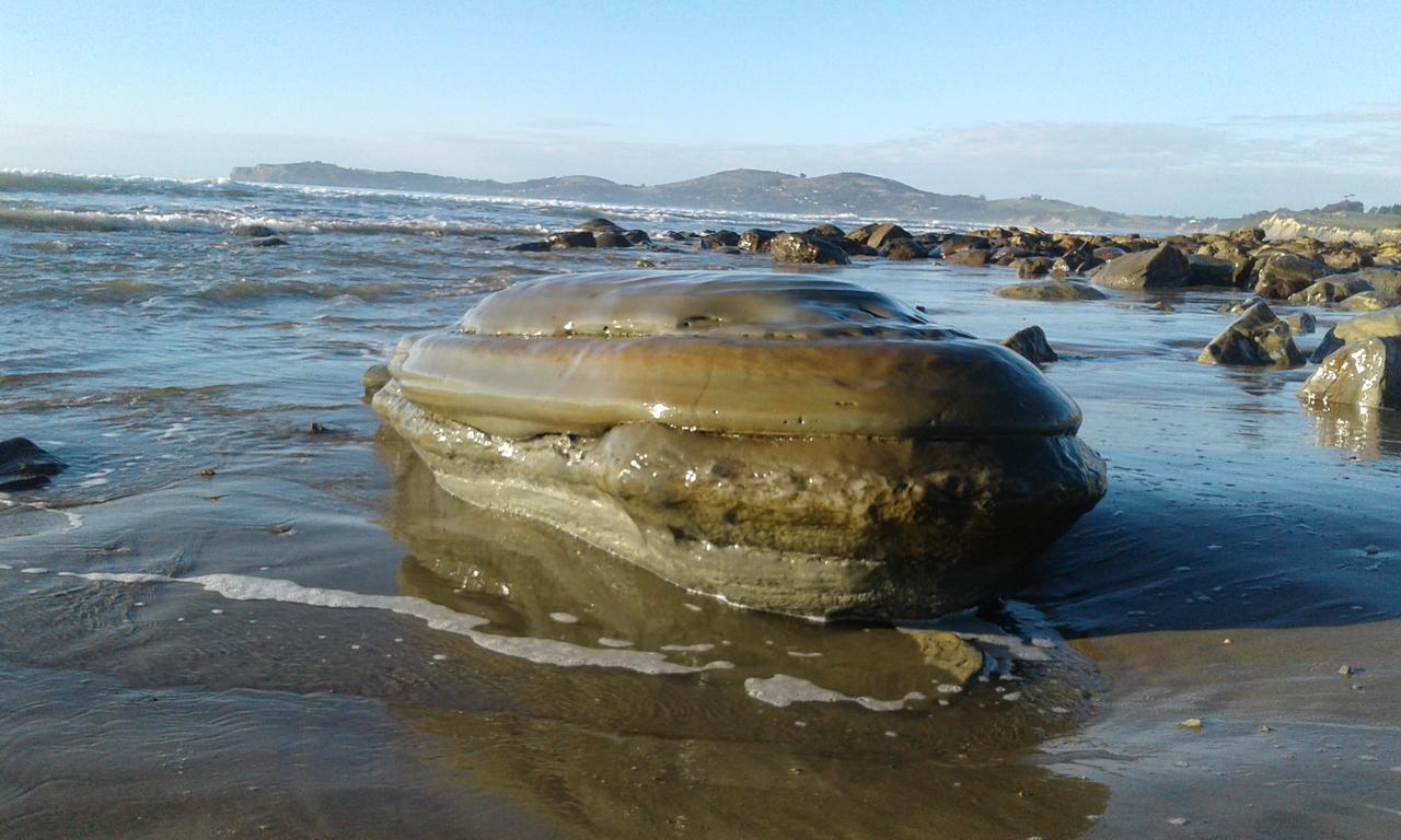Moeraki Boulders Motel Hampden 외부 사진